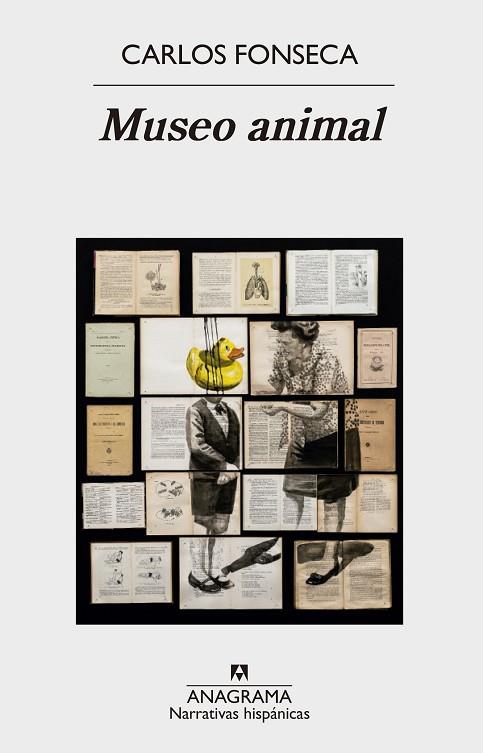 MUSEO ANIMAL | 9788433998408 | FONSECA, CARLOS | Llibreria Online de Vilafranca del Penedès | Comprar llibres en català