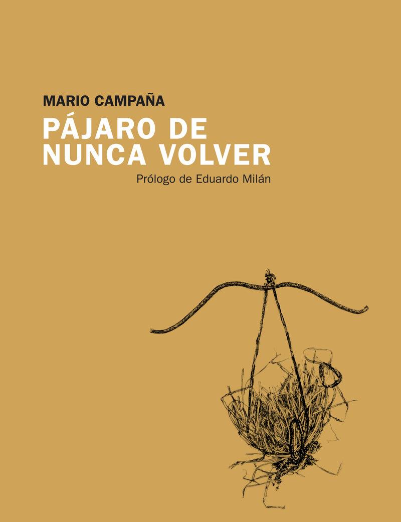 PÁJARO DE NUNCA VOLVER | 9788415934301 | CAMPAÑA, MARIO  | Llibreria Online de Vilafranca del Penedès | Comprar llibres en català