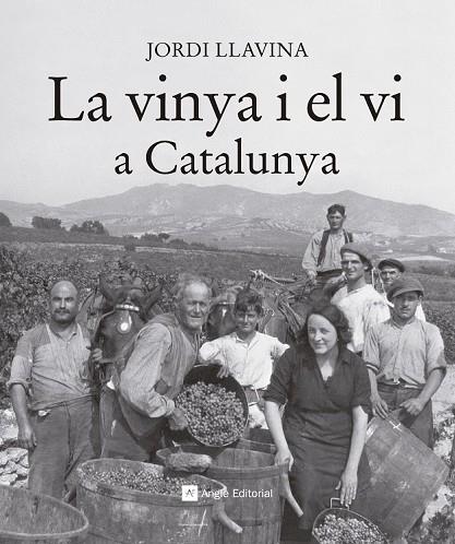 LA VINYA I EL VI A CATALUNYA | 9788416139187 | LLAVINA, JORDI | Llibreria Online de Vilafranca del Penedès | Comprar llibres en català