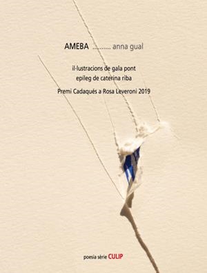 AMEBA | 9788481289992 | GUAL, ANNA | Llibreria L'Odissea - Libreria Online de Vilafranca del Penedès - Comprar libros