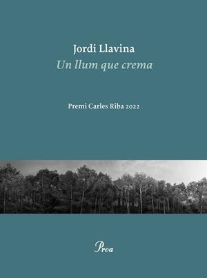 UN LLUM QUE CREMA | 9788475889979 | LLAVINA, JORDI | Llibreria L'Odissea - Libreria Online de Vilafranca del Penedès - Comprar libros