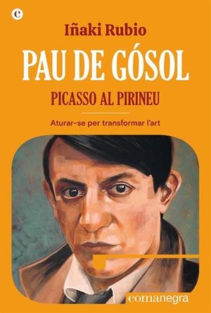 PAU DE GÓSOL PICASSO AL PIRINEU | 9788419590404 | RUBIO, IÑAKI | Llibreria L'Odissea - Libreria Online de Vilafranca del Penedès - Comprar libros