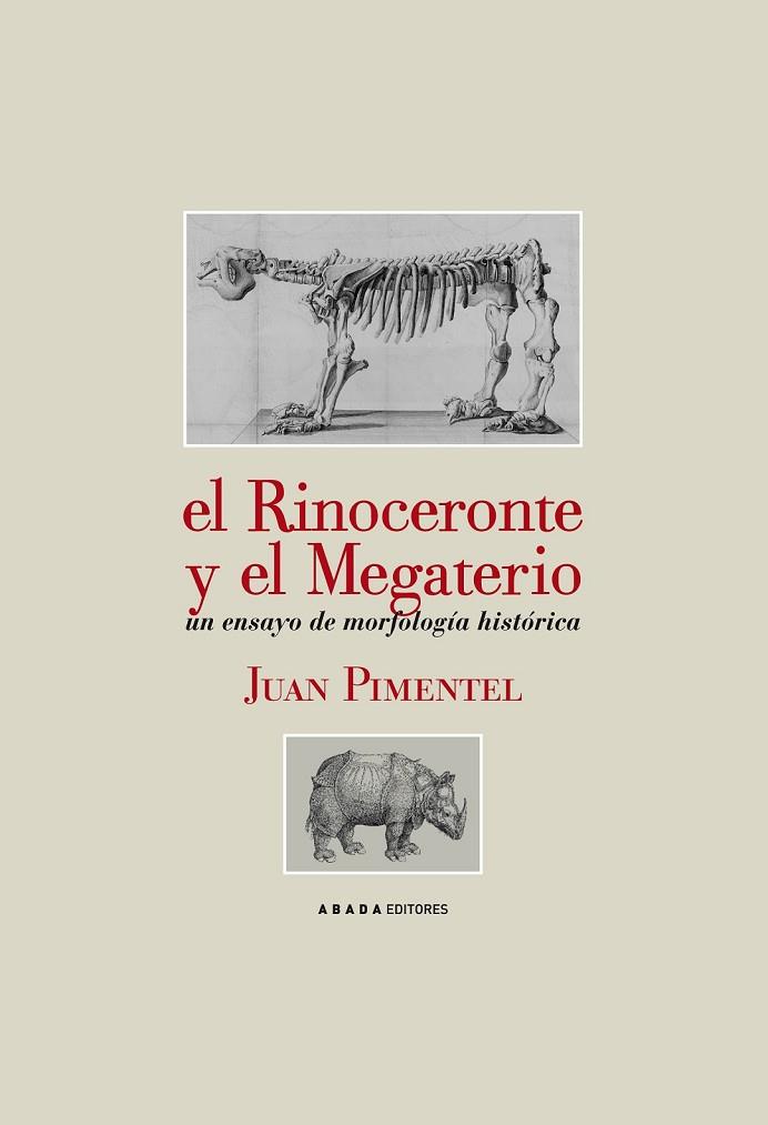 EL RINOCERONTE Y EL MEGATERIO | 9788496775671 | PIMENTEL, JUAN | Llibreria Online de Vilafranca del Penedès | Comprar llibres en català