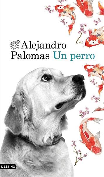 UN PERRO | 9788423350223 | PALOMAS, ALEJANDRO | Llibreria L'Odissea - Libreria Online de Vilafranca del Penedès - Comprar libros
