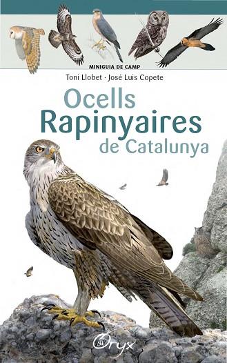 OCELLS RAPINYAIRES DE CATALUNYA | 9788490346785 | LLOBET FRANÇOIS, TONI / COPETE, JOSÉ LUIS | Llibreria L'Odissea - Libreria Online de Vilafranca del Penedès - Comprar libros