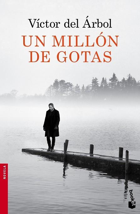 UN MILLÓN DE GOTAS | 9788423349418 | DEL ARBOL, VICTOR | Llibreria L'Odissea - Libreria Online de Vilafranca del Penedès - Comprar libros