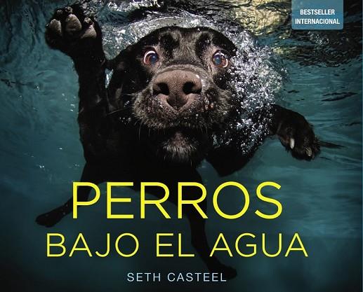 PERROS BAJO EL AGUA | 9788441534612 | CASTEL, SETH | Llibreria Online de Vilafranca del Penedès | Comprar llibres en català