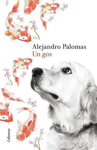 UN GOS | 9788466420426 | PALOMAS, ALEJANDRO | Llibreria L'Odissea - Libreria Online de Vilafranca del Penedès - Comprar libros