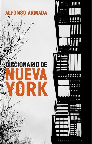 DICCIONARIO DE NUEVA YORK | 9788483079041 | ARMADA, ALFONSO | Llibreria Online de Vilafranca del Penedès | Comprar llibres en català