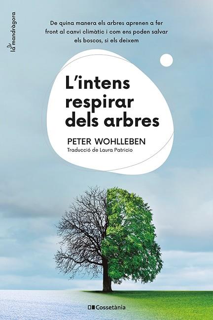 L'INTENS RESPIRAR DELS ARBRES | 9788413562087 | WOHLLEBEN, PETER | Llibreria L'Odissea - Libreria Online de Vilafranca del Penedès - Comprar libros