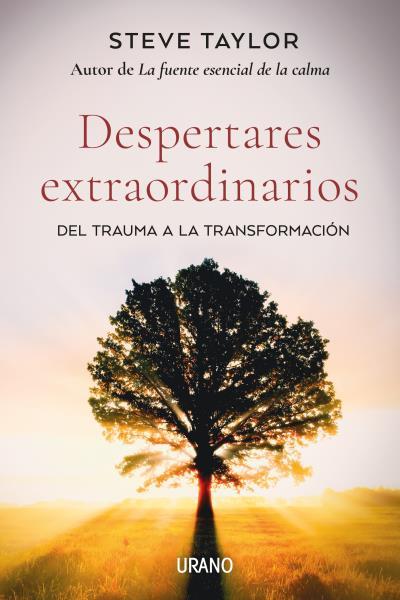 DESPERTARES EXTRAORDINARIOS | 9788418714061 | TAYLOR, STEVE | Llibreria Online de Vilafranca del Penedès | Comprar llibres en català