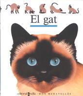 EL GAT | 9788476299005 | GALLIMARD JEUNESSE, ÉDITIONS | Llibreria L'Odissea - Libreria Online de Vilafranca del Penedès - Comprar libros