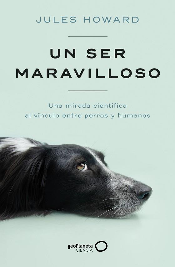 UN SER MARAVILLOSO | 9788408269328 | HOWARD, JULES | Llibreria L'Odissea - Libreria Online de Vilafranca del Penedès - Comprar libros