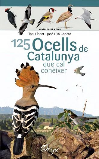 125 OCELLS DE CATALUNYA | 9788490346747 | LLOBET FRANÇOIS, TONI / COPETE, JOSÉ LUIS | Llibreria Online de Vilafranca del Penedès | Comprar llibres en català