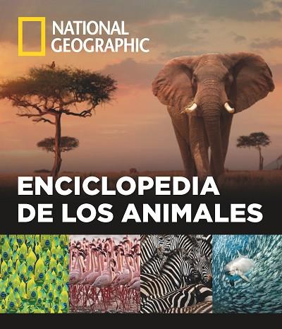 ENCICLOPEDIA DE LOS ANIMALES | 9788482986432 | AA. VV. | Llibreria Online de Vilafranca del Penedès | Comprar llibres en català