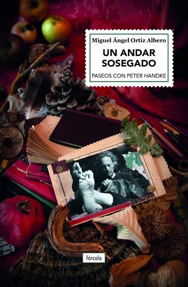 UN ANDAR SOSEGADO | 9788417425807 | ORTIZ ALBERO, MIGUEL ÁNGEL | Llibreria L'Odissea - Libreria Online de Vilafranca del Penedès - Comprar libros