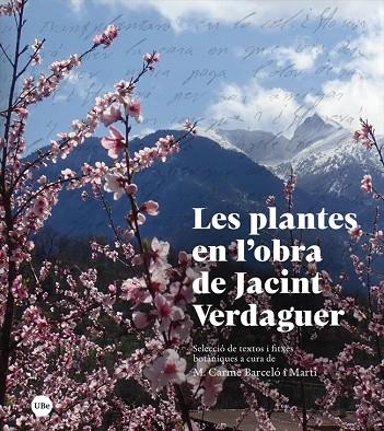 LES PLANTES EN L’OBRA DE JACINT VERDAGUER | 9788447540792 | BARCELÓ I MARTÍ, MARIA CARME | Llibreria L'Odissea - Libreria Online de Vilafranca del Penedès - Comprar libros