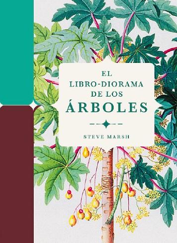 EL LIBRO DIORAMA DE LOS ÁRBOLES | 9788412386196 | MARSH, STEVE | Llibreria Online de Vilafranca del Penedès | Comprar llibres en català
