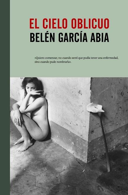 EL CIELO OBLICUO | 9788415217930 | GARCÍA ABIA, BELÉN | Llibreria Online de Vilafranca del Penedès | Comprar llibres en català