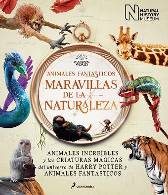 ANIMALES FANTÁSTICOS: MARAVILLAS DE LA NATURALEZA | 9788418637056 | THE NATIONAL HISTORY MUSEUM, | Llibreria Online de Vilafranca del Penedès | Comprar llibres en català