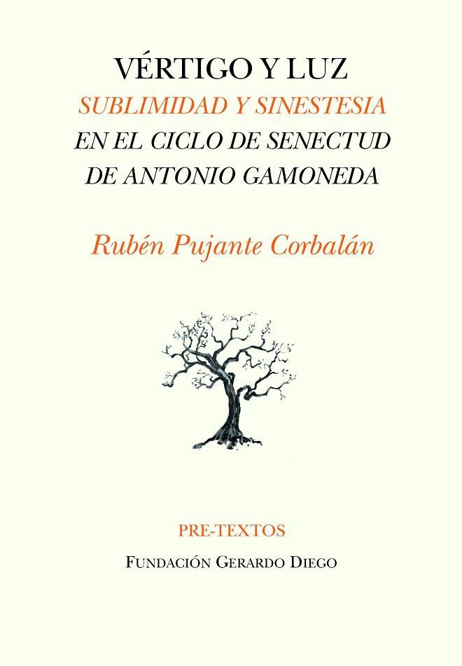 VÉRTIGO Y LUZ | 9788418935237 | PUJANTE CORBALÁN, RUBÉN | Llibreria Online de Vilafranca del Penedès | Comprar llibres en català