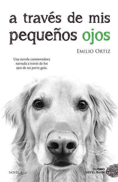 A TRAVÉS DE MIS PEQUEÑOS OJOS | 9788416634682 | ORTIZ PULIDO, EMILIO | Llibreria Online de Vilafranca del Penedès | Comprar llibres en català