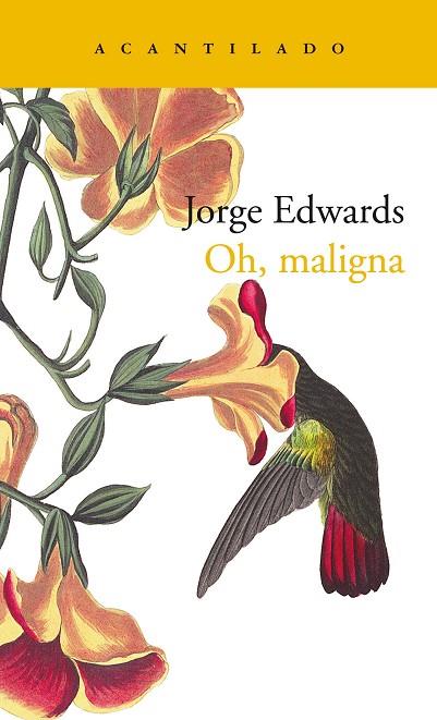 OH, MALIGNA | 9788417902070 | EDWARDS VALDÉS, JORGE | Llibreria Online de Vilafranca del Penedès | Comprar llibres en català