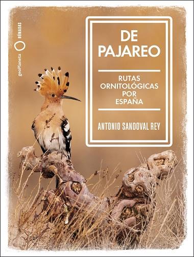 DE PAJAREO | 9788408251514 | SANDOVAL, ANTONIO | Llibreria Online de Vilafranca del Penedès | Comprar llibres en català
