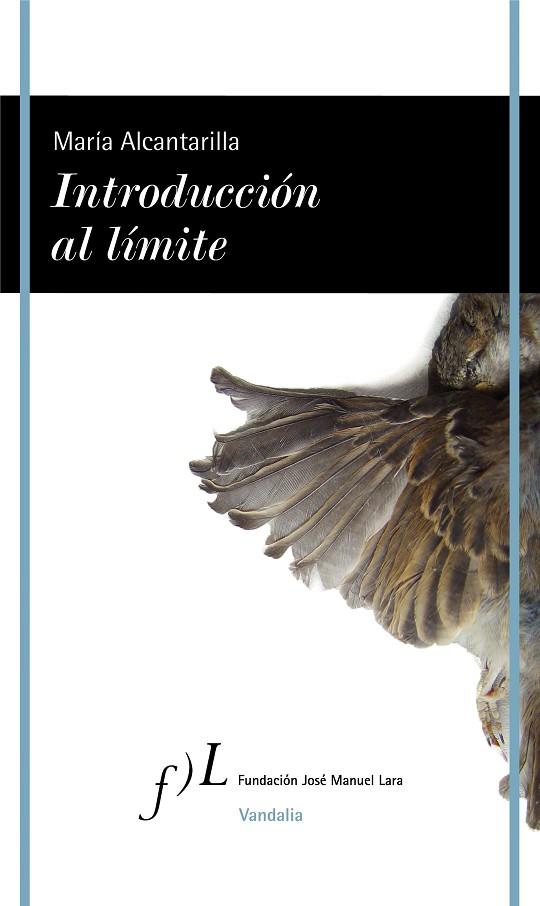 INTRODUCCIÓN AL LÍMITE | 9788417453176 | ALCANTARILLA, MARÍA | Llibreria Online de Vilafranca del Penedès | Comprar llibres en català