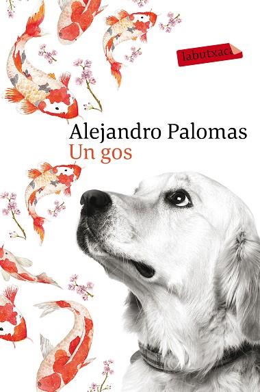 UN GOS | 9788416600625 | PALOMAS, ALEJANDRO | Llibreria Online de Vilafranca del Penedès | Comprar llibres en català
