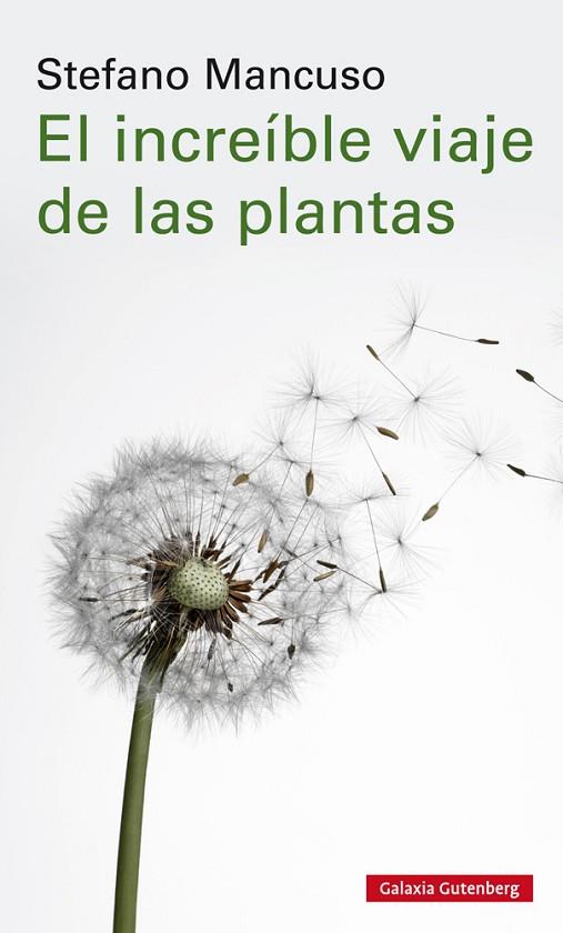 EL INCREÍBLE VIAJE DE LAS PLANTAS | 9788417747312 | MANCUSO, STEFANO | Llibreria Online de Vilafranca del Penedès | Comprar llibres en català