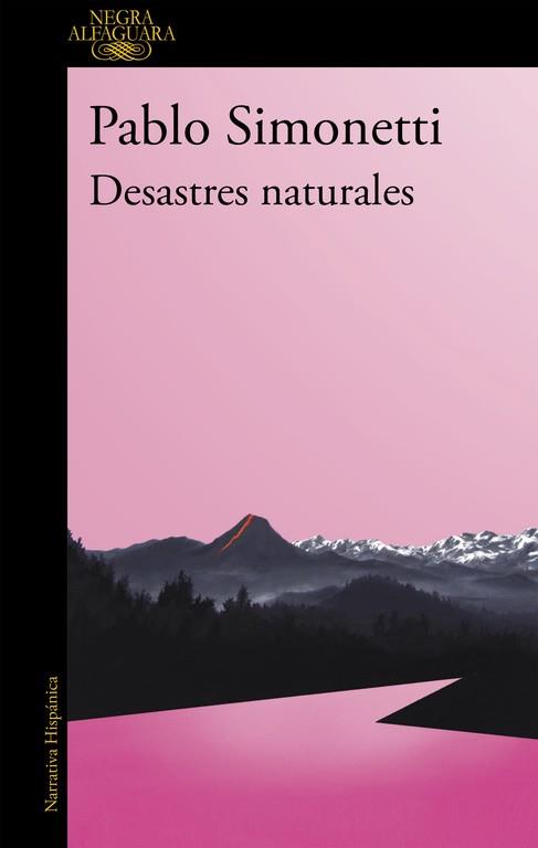 DESASTRES NATURALES  | 9788420432595 | SIMONETTI, PABLO | Llibreria Online de Vilafranca del Penedès | Comprar llibres en català