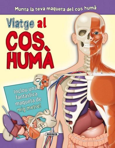 VIATGE AL COS HUMÀ | 9788467723212 | AA. VV. | Llibreria L'Odissea - Libreria Online de Vilafranca del Penedès - Comprar libros