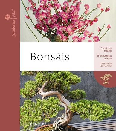 BONSAIS | 9788415411369 | AA.VV | Llibreria Online de Vilafranca del Penedès | Comprar llibres en català