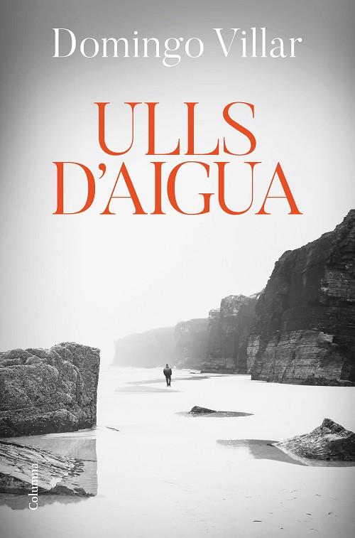 ULLS D'AIGUA | 9788466426312 | VILLAR, DOMINGO | Llibreria Online de Vilafranca del Penedès | Comprar llibres en català