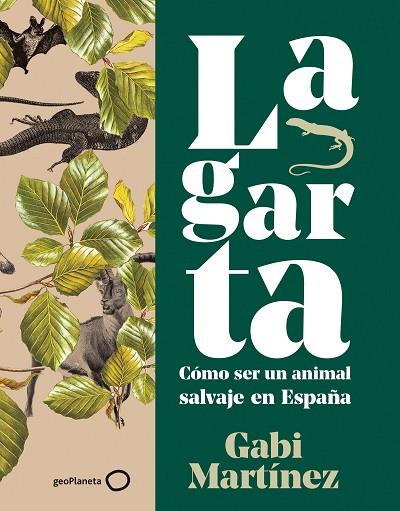 LAGARTA | 9788408252115 | MARTÍNEZ, GABI | Llibreria Online de Vilafranca del Penedès | Comprar llibres en català