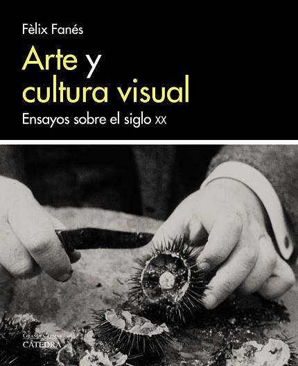 ARTE Y CULTURA VISUAL | 9788437638058 | IBÁÑEZ FANÉS, FÈLIX | Llibreria Online de Vilafranca del Penedès | Comprar llibres en català
