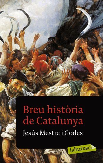 BREU HISTORIA DE CATALUNYA | 9788499301457 | MESTRE I GODES, JESÚS | Llibreria L'Odissea - Libreria Online de Vilafranca del Penedès - Comprar libros