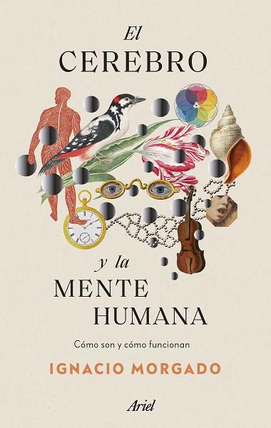 EL CEREBRO Y LA MENTE HUMANA | 9788434435988 | MORGADO, IGNACIO | Llibreria Online de Vilafranca del Penedès | Comprar llibres en català