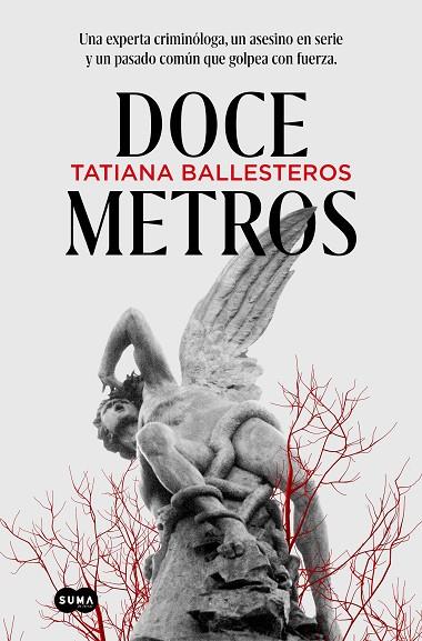 DOCE METROS | 9788491296485 | BALLESTEROS, TATIANA | Llibreria Online de Vilafranca del Penedès | Comprar llibres en català
