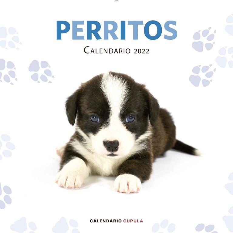 CALENDARIO PERRITOS 2022 | 9788448028701 | AA. VV. | Llibreria Online de Vilafranca del Penedès | Comprar llibres en català