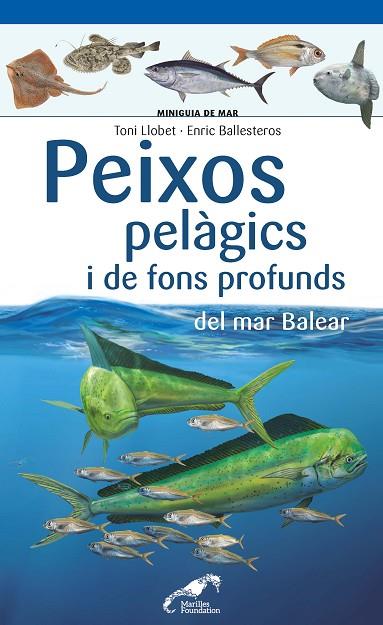 PEIXOS PELÀGICS I DE FONS PROFUNDS DEL MAR BALEAR | 9788490349397 | LLOBET FRANÇOIS, TONI/BALLESTEROS SAGARRA, ENRIC | Llibreria Online de Vilafranca del Penedès | Comprar llibres en català