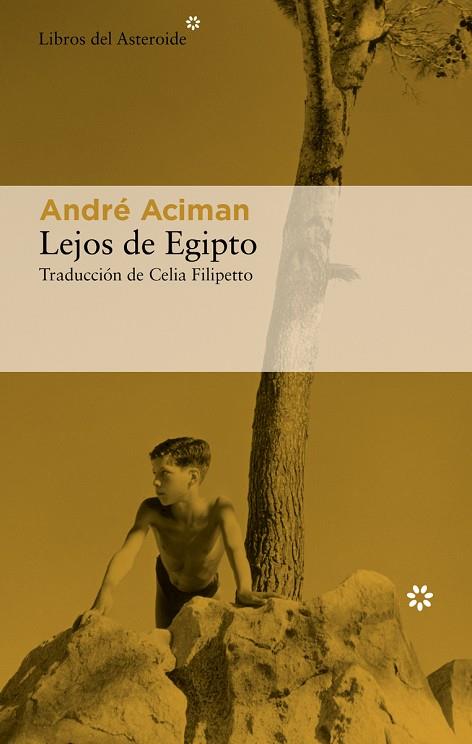 LEJOS DE EGIPTO | 9788417977757 | ACIMAN, ANDRÉ | Llibreria Online de Vilafranca del Penedès | Comprar llibres en català