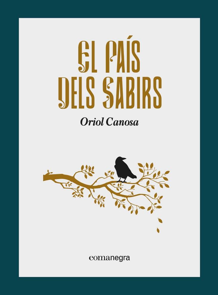 EL PAÍS DELS SABIRS | 9788418857799 | CANOSA, ORIOL | Llibreria Online de Vilafranca del Penedès | Comprar llibres en català