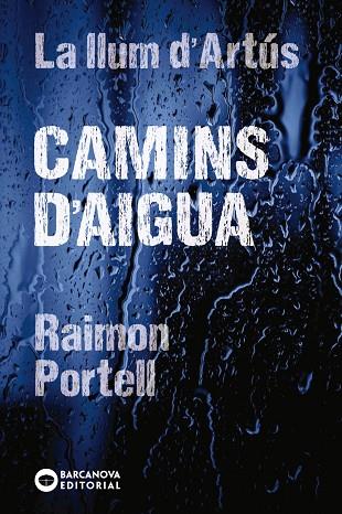CAMINS D'AIGUA | 9788448942144 | PORTELL, RAIMON | Llibreria Online de Vilafranca del Penedès | Comprar llibres en català