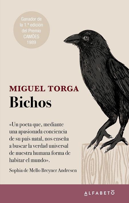 BICHOS | 9788417951467 | TORGA, MIGUEL | Llibreria Online de Vilafranca del Penedès | Comprar llibres en català