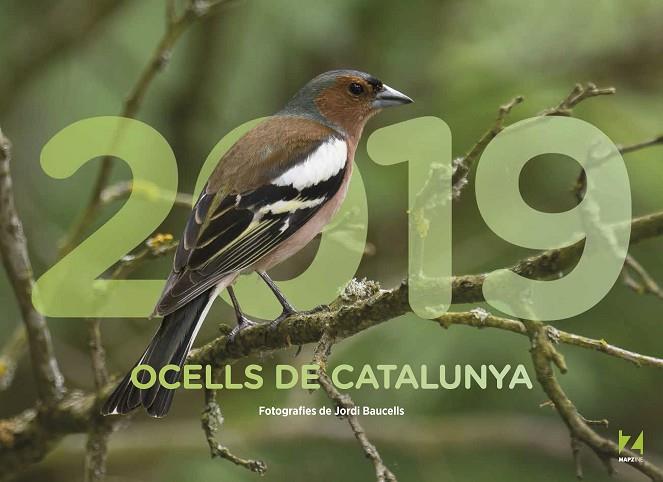 CALENDARI 2019 OCELLS DE CATALUNYA | 9788409035465 | MAPZINE | Llibreria Online de Vilafranca del Penedès | Comprar llibres en català