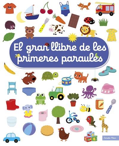 EL GRAN LLIBRE DE LES PRIMERES PARAULES | 9788491377900 | CHOUX, NATHALIE | Llibreria Online de Vilafranca del Penedès | Comprar llibres en català