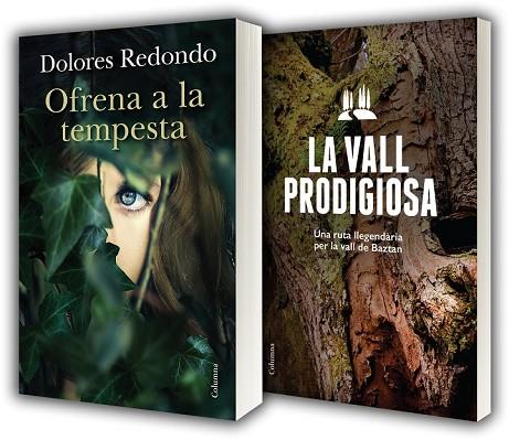 OFRENA A LA TEMPESTA + GUIA DE BAZTAN | 9788466419956 | REDONDO, DOLORES  | Llibreria L'Odissea - Libreria Online de Vilafranca del Penedès - Comprar libros