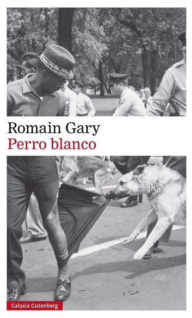 PERRO BLANCO | 9788417355586 | GARY, ROMAIN | Llibreria Online de Vilafranca del Penedès | Comprar llibres en català